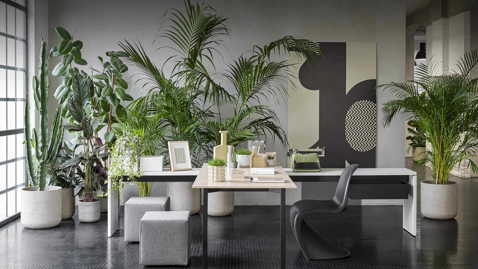 Citterio - Arredo Staff Agency - Italian Design Furniture - Molteni & C, Dada, Citteria, Unifor
